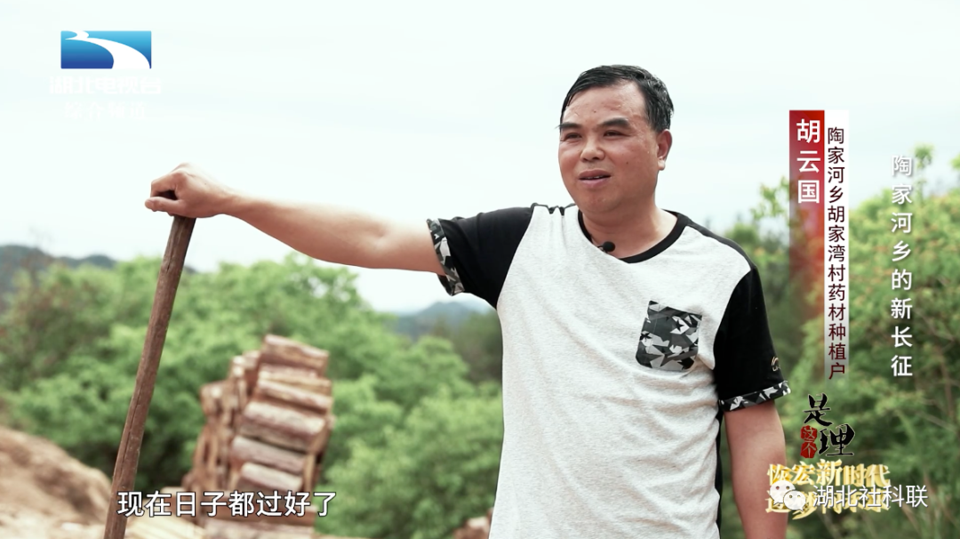 三码必中一码